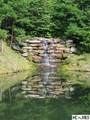 Lot 24 Pilot Knob Road - Photo 5