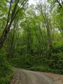 17010 Buck Knob Road - Photo 5