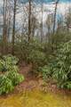 Lot 48 Winding Creek Road - Photo 5