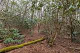 Lot 48 Winding Creek Road - Photo 6
