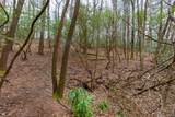 Lot 48 Winding Creek Road - Photo 7