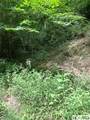 0 Little Ellijay Road - Photo 2