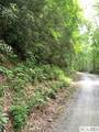 0 Little Ellijay Road - Photo 3