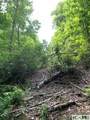 0 Little Ellijay Road - Photo 5