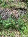 0 Little Ellijay Road - Photo 6