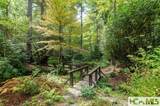 139 Foxglove Trail - Photo 72