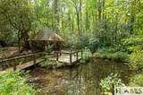 139 Foxglove Trail - Photo 73