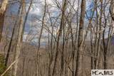 Lot 55 Cullowhee Forest Road - Photo 11