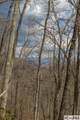 Lot 55 Cullowhee Forest Road - Photo 16