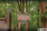 Lot 55 Cullowhee Forest Road - Photo 21