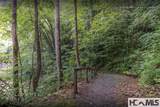 Lot 55 Cullowhee Forest Road - Photo 25
