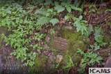 Lot 55 Cullowhee Forest Road - Photo 29