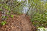 Lot 55 Cullowhee Forest Road - Photo 4