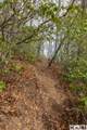 Lot 55 Cullowhee Forest Road - Photo 5