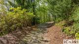 TBD Birch Creek Trail - Photo 6