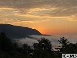 151 Birdnest - Photo 46