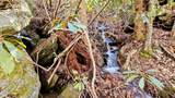 63 Speckled Feather Pass - Photo 17