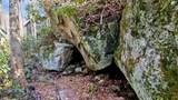 63 Speckled Feather Pass - Photo 19