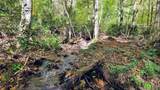 117 Speckled Feather Pass - Photo 11
