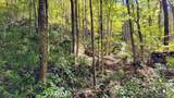 117 Speckled Feather Pass - Photo 13