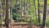 117 Speckled Feather Pass - Photo 14