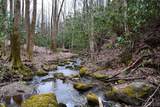 117 Speckled Feather Pass - Photo 15