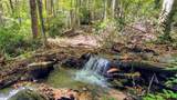 Lot HS Speckled Feather Pass - Photo 2