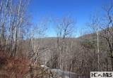 Lot 20 Speckled Feather Pass - Photo 2