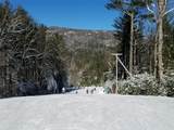 Lot 20 Speckled Feather Pass - Photo 8