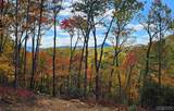 Lot 35 Hidden Grouse Lane - Photo 1