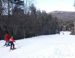 Lot 35 Hidden Grouse Lane - Photo 10