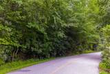 Lot 91 Bald Eagle Court - Photo 16