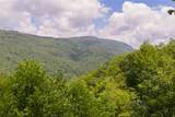 Lot 91 Bald Eagle Court - Photo 21