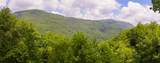 Lot 91 Bald Eagle Court - Photo 22