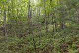 Lot 91 Bald Eagle Court - Photo 6
