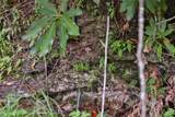 Lot 91 Bald Eagle Court - Photo 8