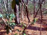 TBD Minerva - Photo 10