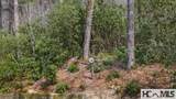 Lot 18 Saratay Falls Road - Photo 18