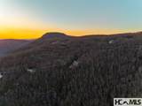 1624 Tower Road - Photo 63