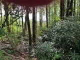 95 Oak Point - Photo 3