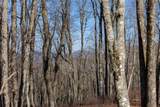 D14 Mossy Bark Trail - Photo 10