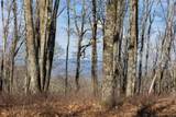 D14 Mossy Bark Trail - Photo 11