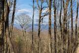 D14 Mossy Bark Trail - Photo 12