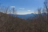 D14 Mossy Bark Trail - Photo 13