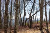 D14 Mossy Bark Trail - Photo 17