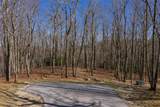 D14 Mossy Bark Trail - Photo 4