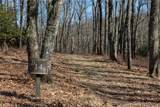 D14 Mossy Bark Trail - Photo 5