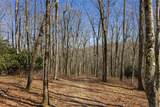 D14 Mossy Bark Trail - Photo 7