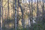 349 Lance Road - Photo 12