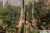 Lot 47 Cullowhee Forest Road - Photo 8